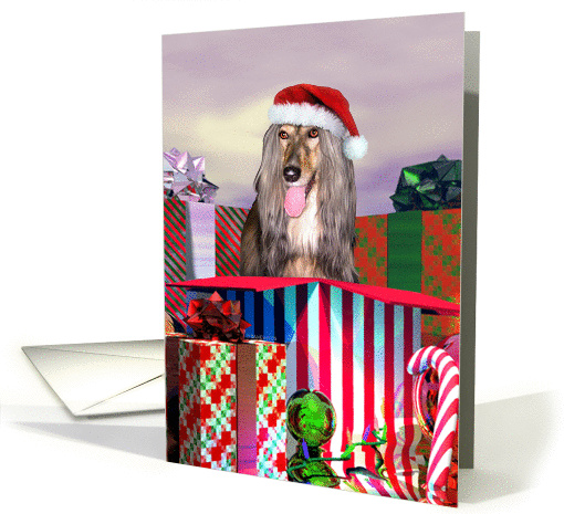 Afghan Hound Dog Christmas Surprise card (51102)