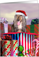 Afghan Hound Dog Christmas Surprise card