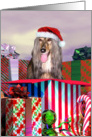 Afghan Hound Dog Christmas Surprise card