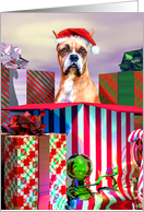 Boxer Dog Christmas Surprise card