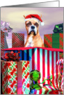 Boxer Dog Christmas Surprise card