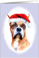 Boxer Dog Christmas...