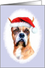 Boxer Dog Christmas Santa Hat card