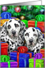 Dalmatian Dog Christmas Open Gifts Now card