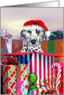 Dalmatian Dog Christmas Surprise card