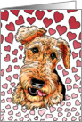 Airedale Terrier Dog Pink Hearts Valentine card