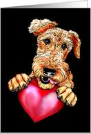 Airedale Terrier Dog Art Holding Heart BLK card