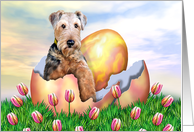 Airedale Terrier Easter Surprise Dog Art card