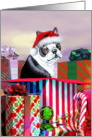 Boston Terrier Dog Christmas Surprise card