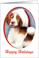 Brittany Dog Christmas card