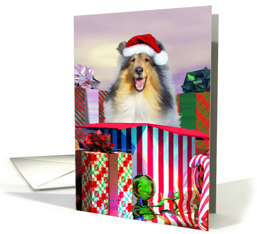 Collie Dog Christmas Surprise card (90467)