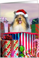 Collie Dog Christmas...