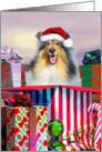 Collie Dog Christmas Surprise card