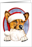 Corgi Santa Hat Dog Christmas card