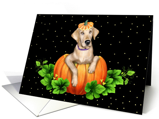 Yellow Lab Dog Pumpkin Halloween card (92766)