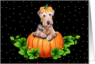 Airedale Terrier Dog Pumpkin Halloween card