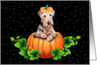 Airedale Terrier Dog Pumpkin Halloween card