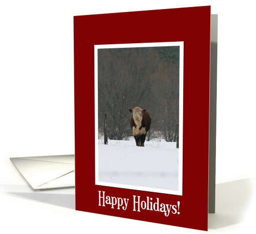 Cattle in the Snow Holiday card (117752)