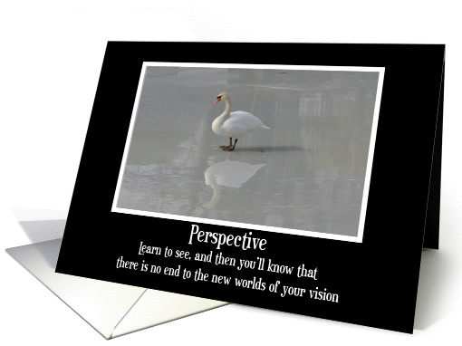 Swan Perspective Blank card (162021)