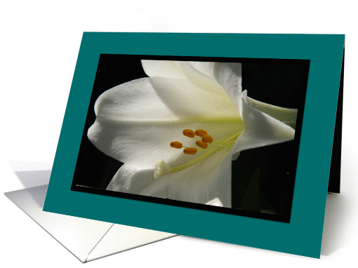 Easter Lily Irish Blessing card (178827)
