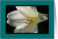 Easter Lily Irish Blessing Card