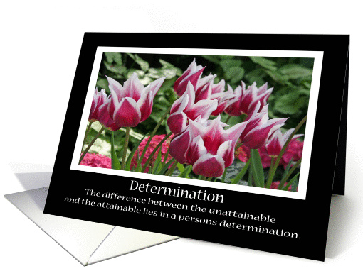 Determination Card, Tulips card (197344)