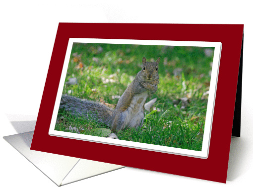 Squirrel Love card (275207)