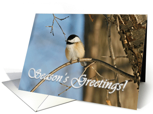Chickadee Season's Greetings card (336801)