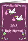 Stork Twin Girls Baby Shower Invitation card