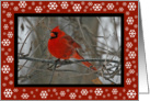 Cardinal Employee Christmas Card