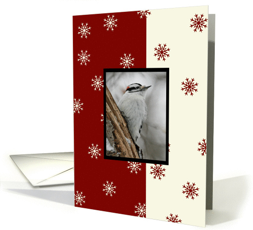 Irish Blessing Woodpecker Christmas card (352888)