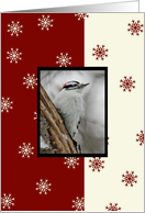 Irish Blessing Woodpecker Christmas Card
