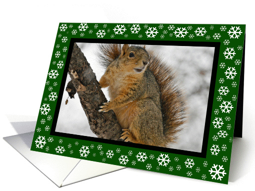 Irish Blessing Snowflakes Squirrel Christmas card (352894)