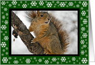 Irish Blessing Snowflakes Squirrel Christmas Card