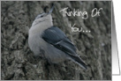 Nuthatch Thinking Of You Card