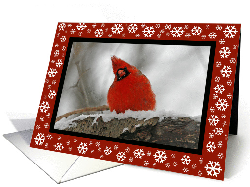 Traditional Irish Blessing Cardinal Christmas card (354709)