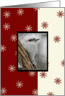 Woodpecker Irish Blessing Christmas Card