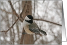 Chickadee Irish Blessing Card