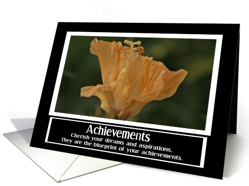 Achievements card (356806)