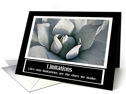 Limitations card (356812)