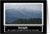 Strength Card