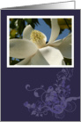 Magnolia Flower Blank Card