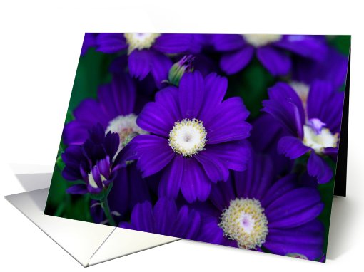 Deep Blue Flowers Blank card (402503)
