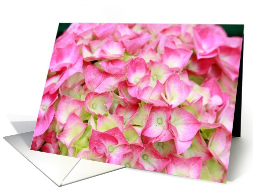 Pink Hydrangea Flowers Blank card (402504)