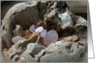 Pink Beach Glass Blank Card