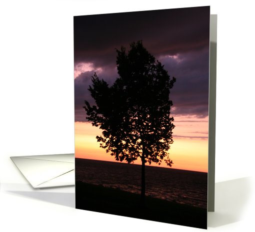 Silhouette Tree At Sunset Blank card (499675)