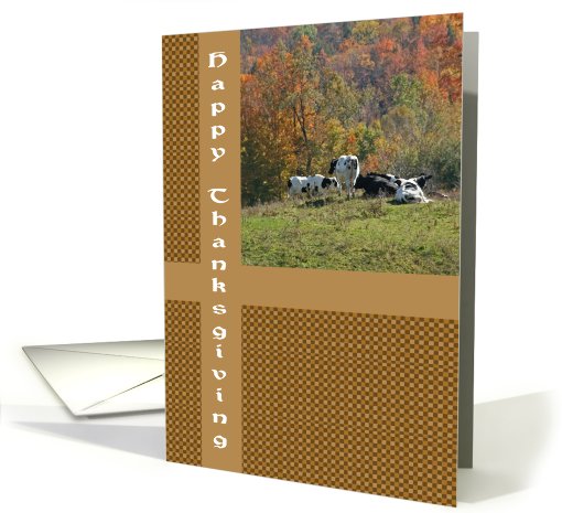 Fall Scene Cows Happy Thanksgiving card (508558)