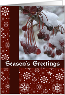 Red Berries Snowflakes Seasons Greetings Card