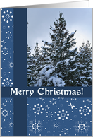Snow Covered Pines Merry Christmas Card