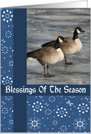 Canadian Geese Blessings Christmas Card